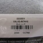 Briggs LO206 Intake Valve #555551