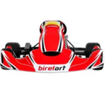 BirelArt AM29 S19